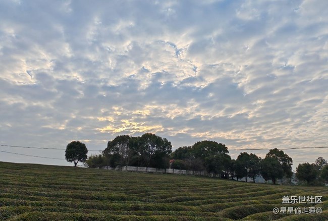 【早春第一站】田園風(fēng)光