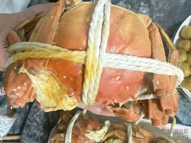 【食暖朝夕】大閘蟹