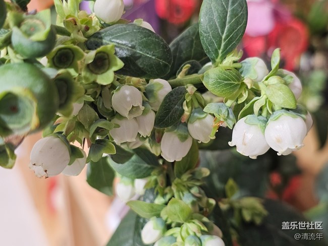 【早春第一站】戶(hù)外好時(shí)光