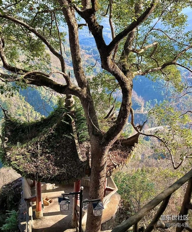 【Galaxy影像】#新年新視角+上山