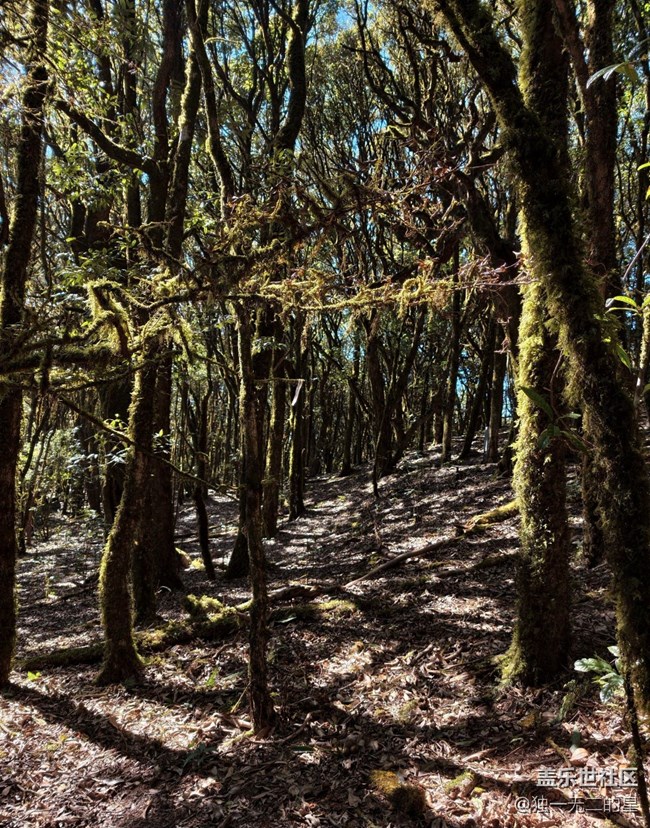 【早春第一站】徒步山野