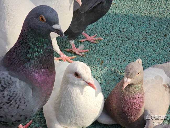 【早春第一站】戶(hù)外好時(shí)光