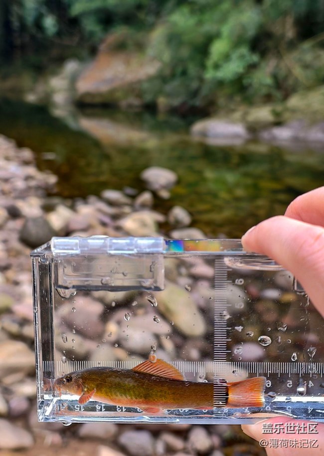 【早春第一站】入山釣魚