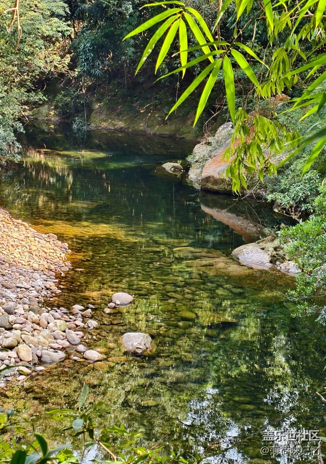 【早春第一站】入山釣魚