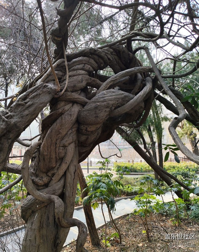 【早春第一站】公園散步