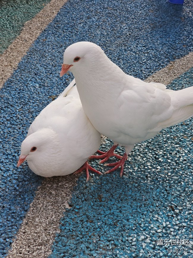 【早春第一站】戶(hù)外好時(shí)光