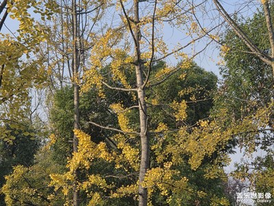 【不期而遇的美】四季之美