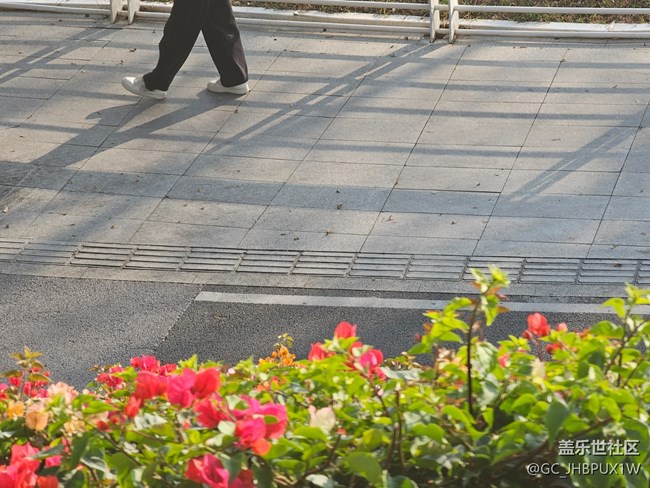 【早春第一站】身邊景色