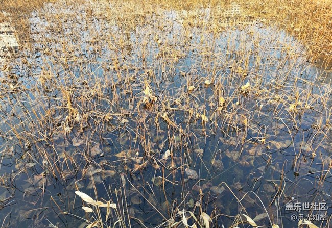 【早春第一站】公園散步