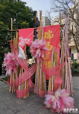 【靚影迎春】嘉定西云樓