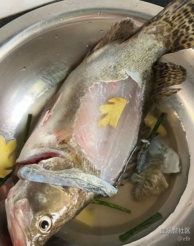 【尋味暖冬】清蒸鱖魚(yú)