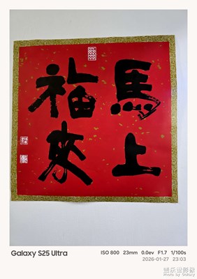 【靚影迎春】迎接新年