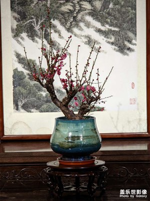 來寄暢園看看吧