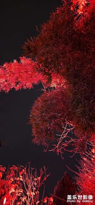 赤橙黃綠青藍(lán)紫