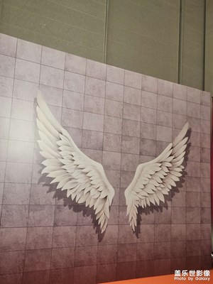 【靚影迎春】偶遇一個(gè)年會(huì)