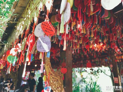 【靚影迎春】+旅途風(fēng)景