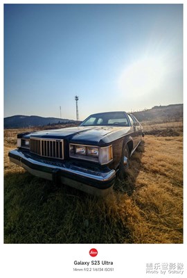 【靚影迎春】好天氣必須出來(lái)轉(zhuǎn)轉(zhuǎn)