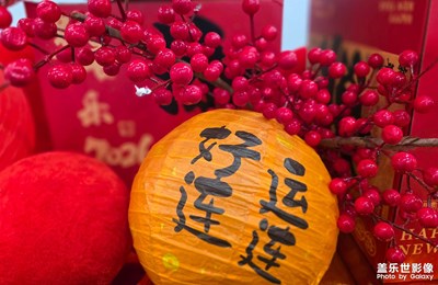 【靚影迎春】喜慶迎春