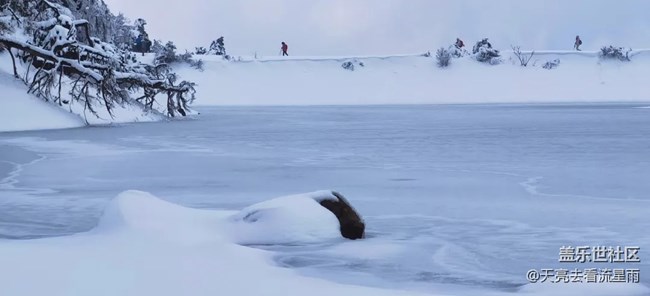 賞霧凇奇觀探秘云頂冰湖