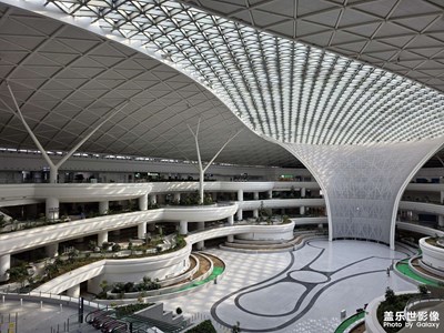 【靚影迎春】+春節(jié)快樂