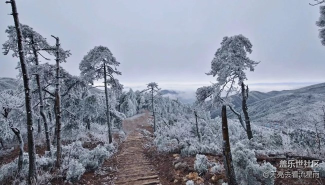 賞霧凇奇觀探秘云頂冰湖