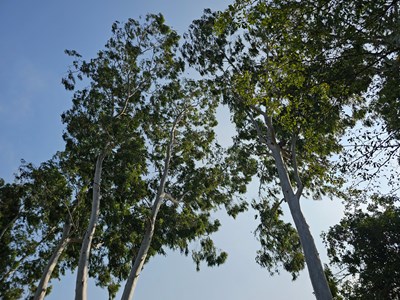 【靚影迎春】春近了