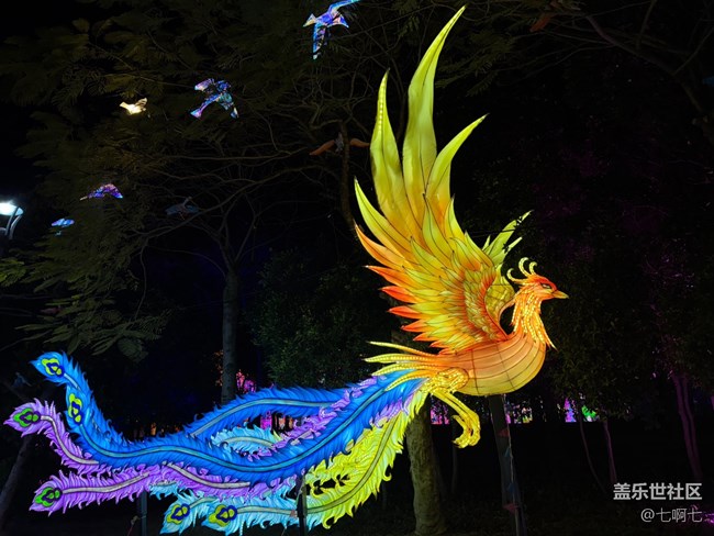 2月8號廈門園博園游園觀花燈