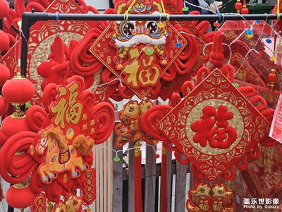 【靚影迎春】節(jié)前走走