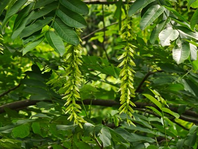 【靚影迎春】春之氣息