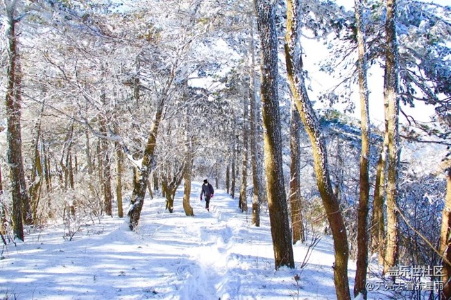 徒步百丈嶺穿越林海雪原