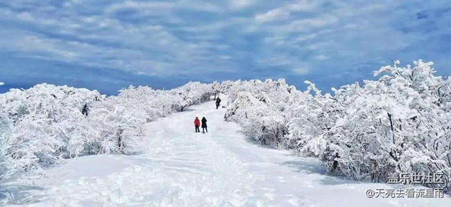 賞霧凇奇觀探秘云頂冰湖