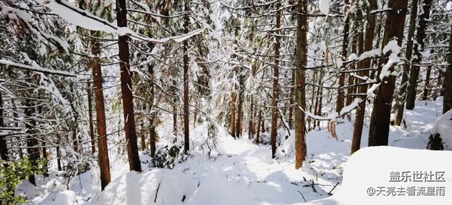 賞霧凇奇觀探秘云頂冰湖