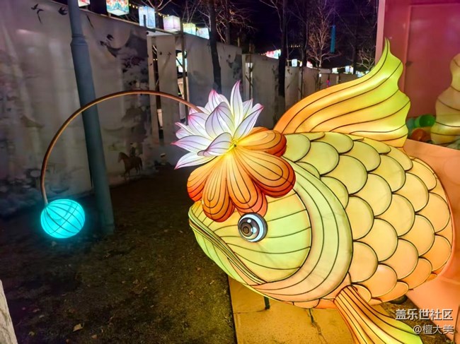 【甬城燈會(huì)·三星尋年】逛吃逛吃