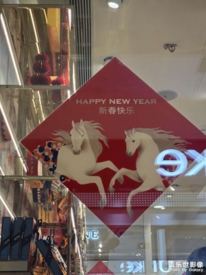 【靚影迎春】回家過年