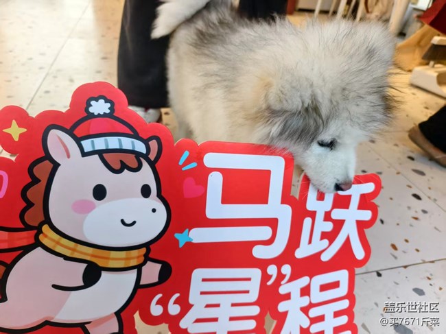 【甬城燈會(huì)·三星尋年】探探燈會(huì)