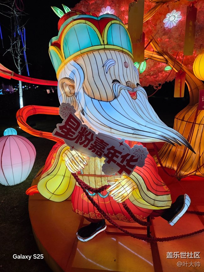 【甬城燈會·三星尋年】新年龍馬精神，一馬平川