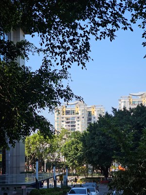 【靚影迎春】街巷日常