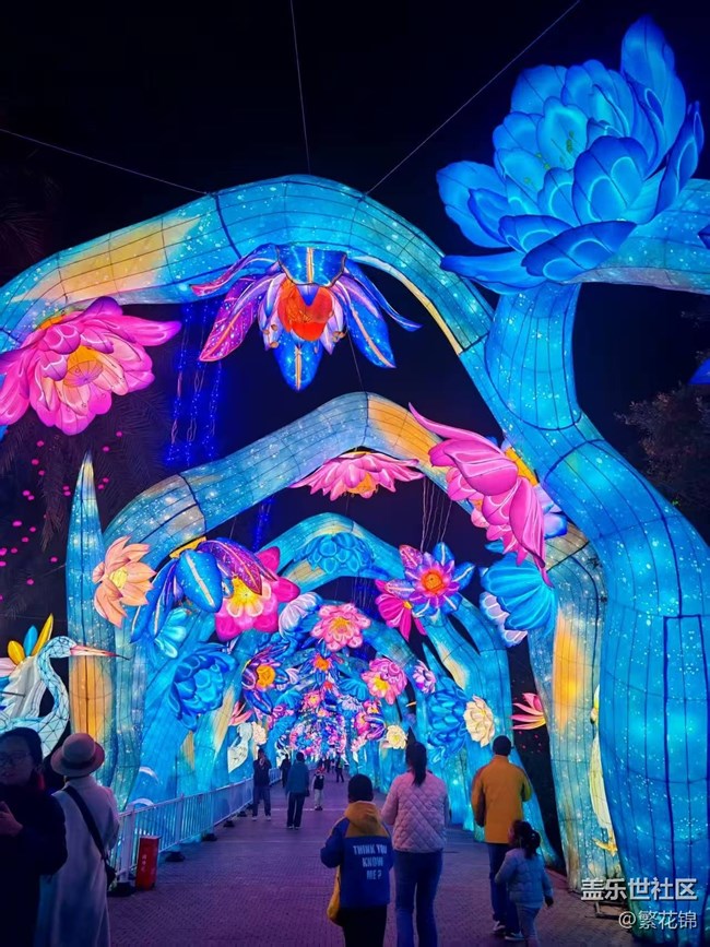 ? 星粉同游，燈暖鷺島！廈門星部落嘉年華圓滿落幕