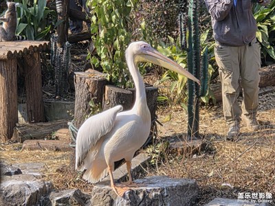 【靚影迎春】記錄新年時(shí)光