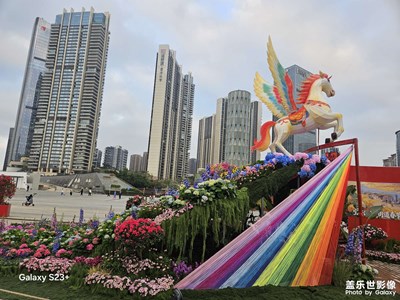 【光影賀新】馬年吉祥，馬到成功！