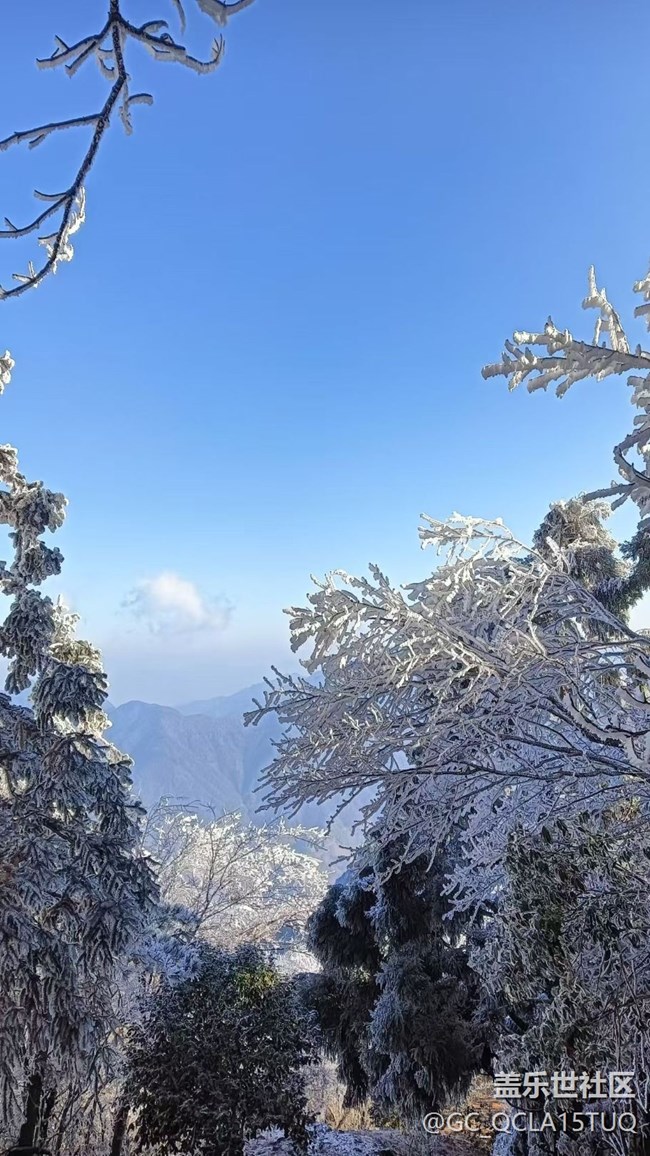 【春節(jié)去哪兒】霧凇