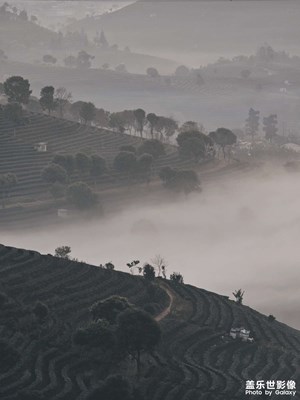 【光影賀新】+遠方