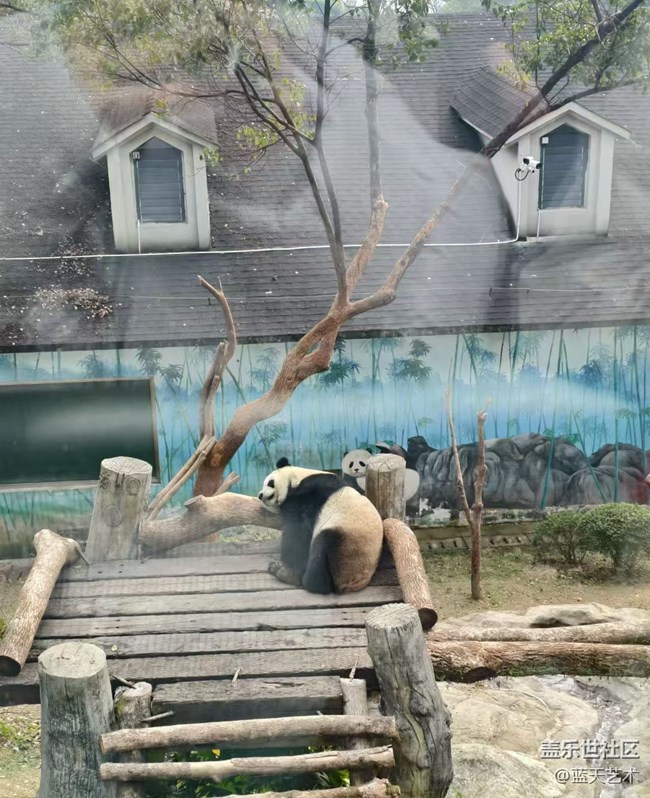 【春節(jié)趣事分享】出去玩