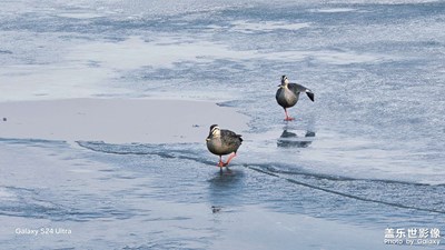 【光影賀新】春江水暖