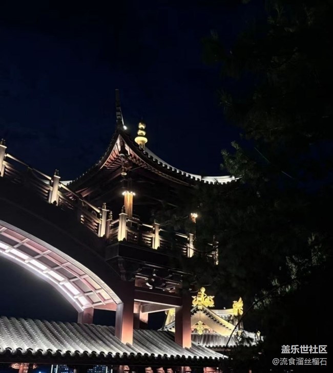 【春節(jié)去哪兒】夜游雞鳴寺