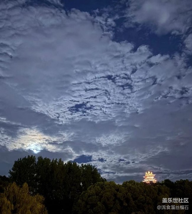 【春節(jié)去哪兒】夜游雞鳴寺