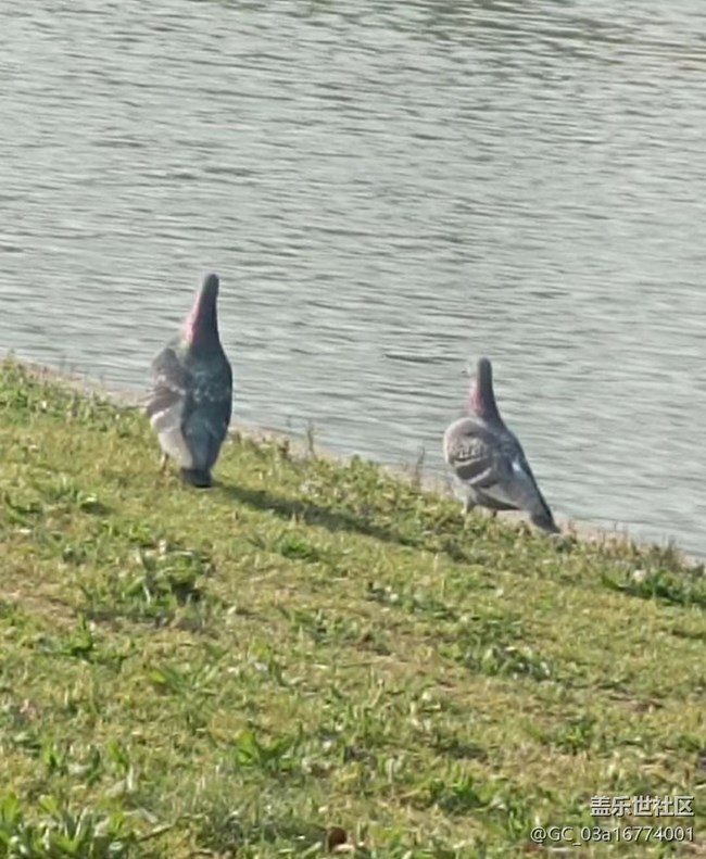 【春節(jié)去哪兒】看風景