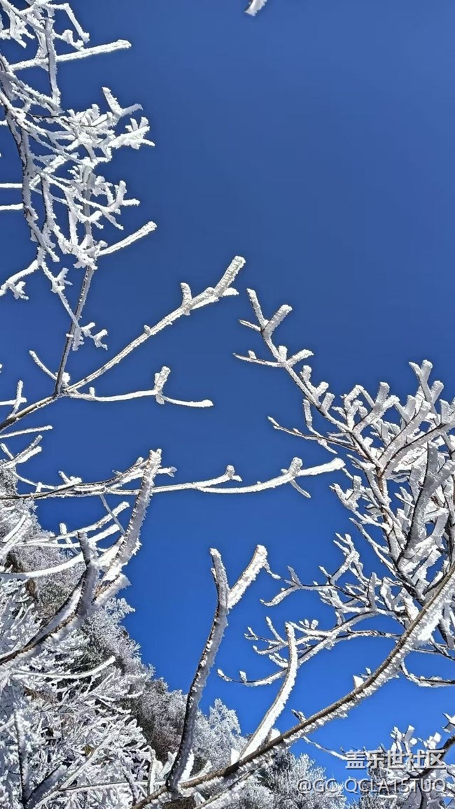 【春節(jié)去哪兒】霧凇