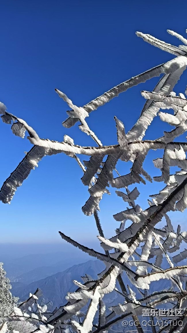 【春節(jié)去哪兒】霧凇