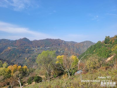 【光影賀新】+馬年吉祥
